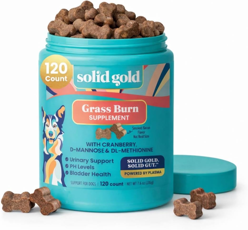 Solid Gold Dog Pee Grass Repair Chews - Dog Urine Neutralizer for Lawn w/Urinary Tract, Kidney, Bladder & pH Support to Reduce Grass Pee Spots & Burn - Pet Urine Neutralizer Treats - Bacon - 120ct - görsel 1