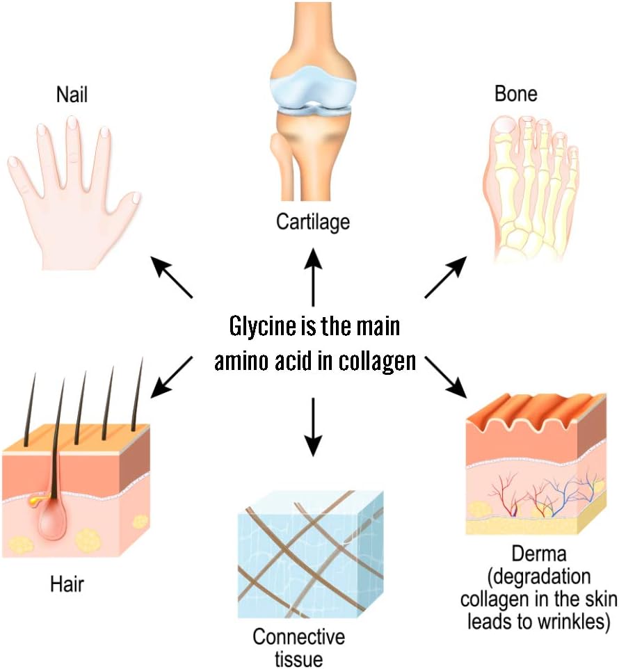 Glycine Powder (907 g) - Supports Restful – Sleep Support: Often used as part of a bedtime routine to support – Image 7