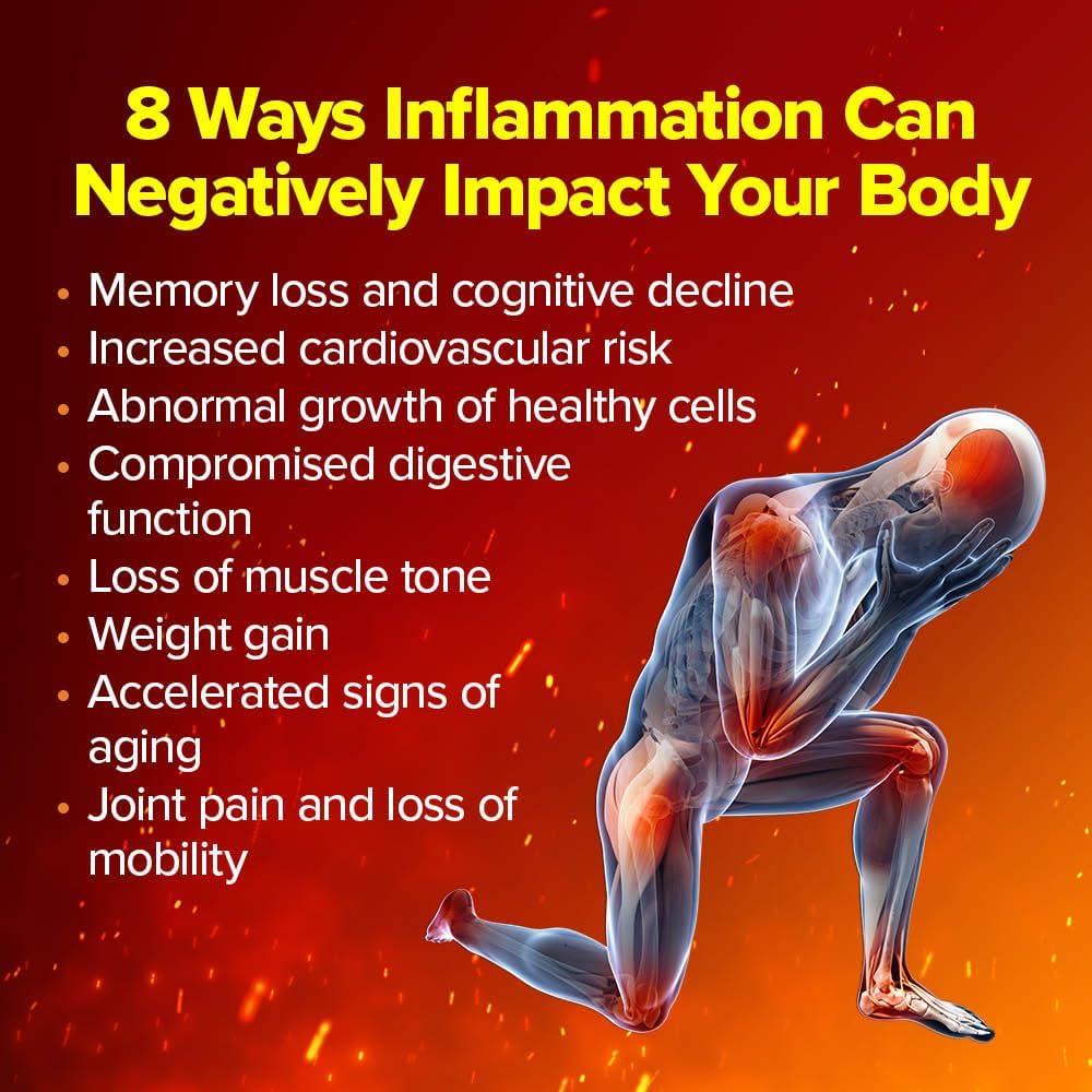 Cerule Cyactiv Natural Inflammation Support – Whole Body Balance & Cellular Defence – 60 Capsules - görsel 3