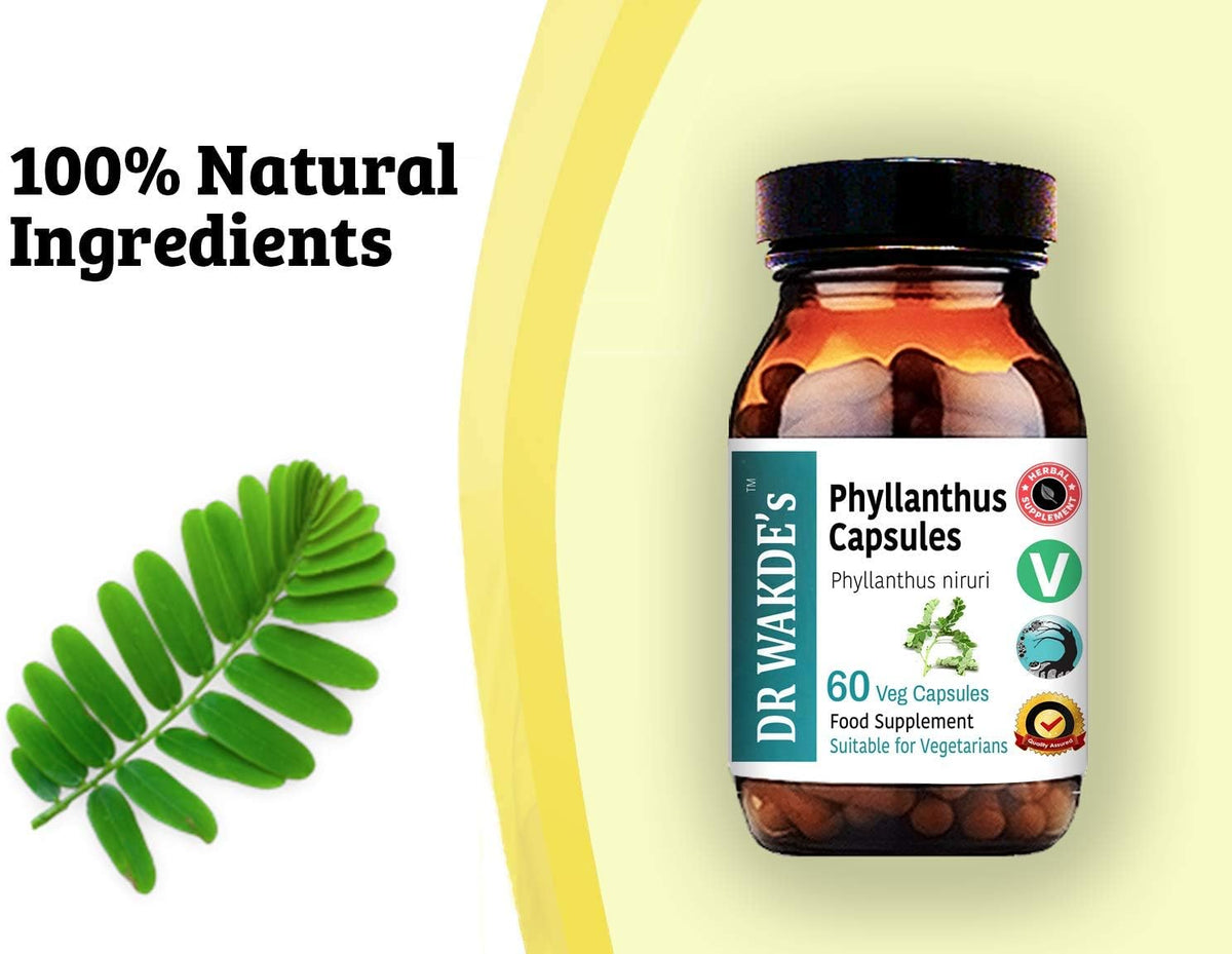 DR WAKDE's Phyllanthus Capsules (Bhumi-amla/Bhumyamalaki) - 100% Herbal Ayurvedic Supplement, 60 Vegan Capsules - görsel 4