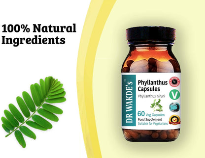 DR WAKDE's Phyllanthus Capsules (Bhumi-amla/Bhumyamalaki) - 100% Herbal Ayurvedic Supplement, 60 Vegan Capsules