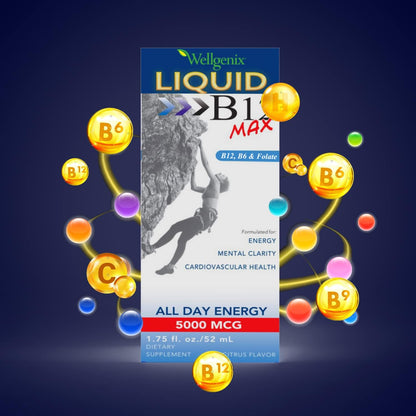 Wellgenix B12 Max Liquid - Sublingual Vitamin B12, B6 & Folic Acid Supplement (2 Pack)