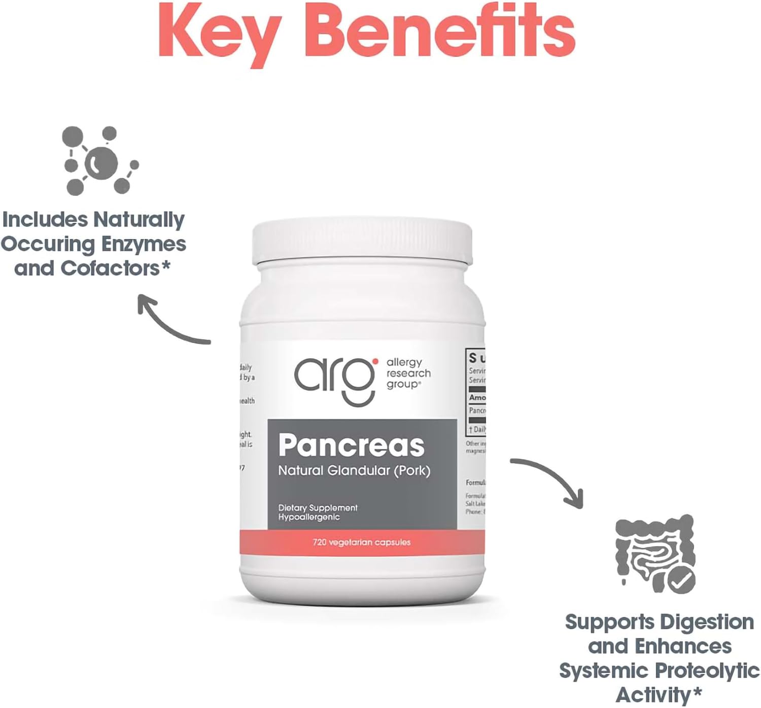 Allergy Research Group Pancreas Natural Glandular - görsel 4