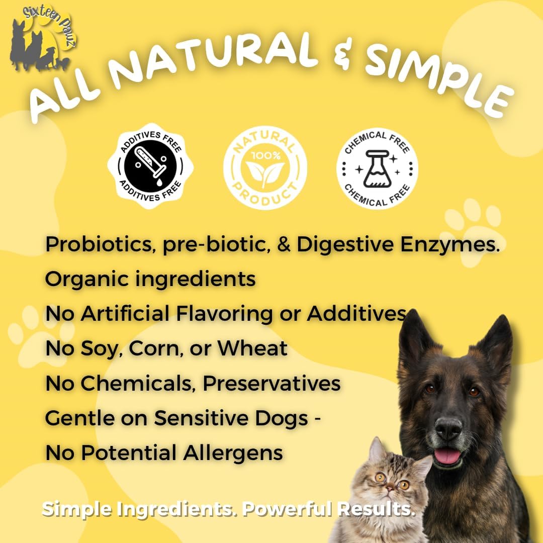 Sixteen Pawz Dog & Cat Probiotics, – Prebiotics and Enzymes: A complete gut health supplement should include – Image 8