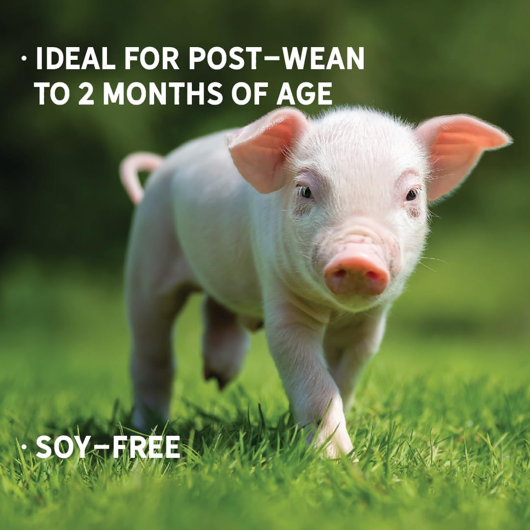 New Country Organics | Pig 16% Protein Feed for Growing Hogs and Pigs | Soya-Free | Certified Organic and Non-GMO | 18 kg - görsel 3