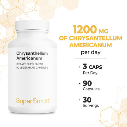 Supersmart Chrysantellum Americanum 1200mg per Day - High Strength Herb Supplement - 90 Vegetarian Capsules