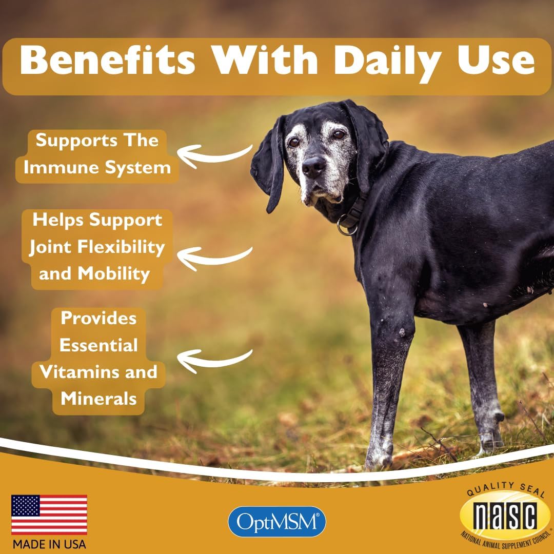 PeakTails Senior Multivitamin for Dogs – 350 Chewable Tablets with MSM, Superoxide Dismutase - görsel 7