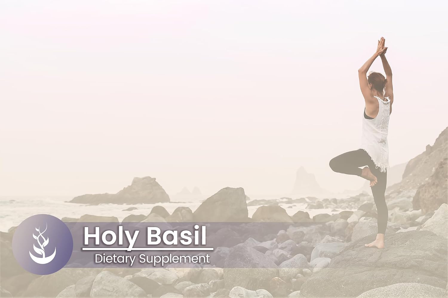 Pure Original Ingredients Holy Basil, 100 Capsules - Pure Single Ingredient Herbal Supplement - görsel 5