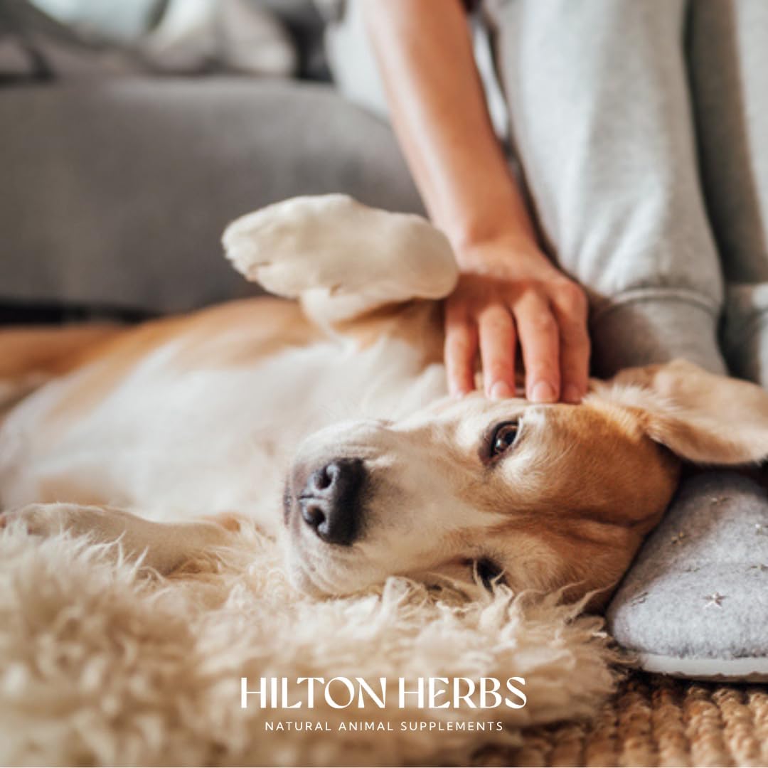 Hilton Herbs Canine Detox Support Herbal Liver Function Supplement for Dogs, 4.4 oz Tub - görsel 8