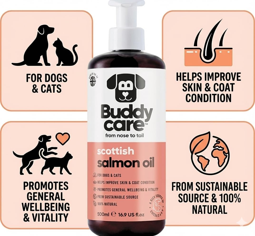 Buddycare Scottish Salmon Oil for Dogs and – Promotes Overall Vitality: Regular uses may help maintain energy – Image 4