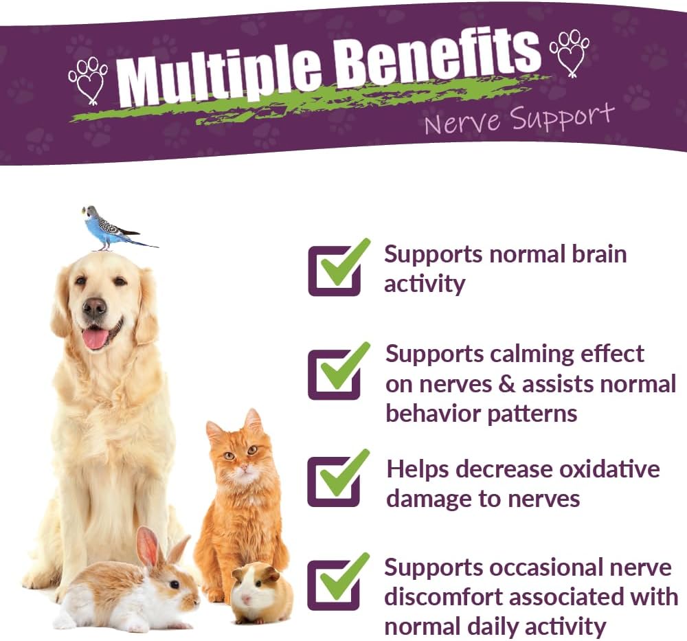 Amber NaturalZ DermaNERV Herbal Supplement for Pets - Nerve Support for Dogs, Cats, Birds, Rabbits, Guinea Pigs (118 ml) - görsel 2
