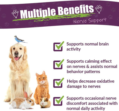 Amber NaturalZ DermaNERV Herbal Supplement for Pets - Nerve Support for Dogs, Cats, Birds, Rabbits, Guinea Pigs (118 ml)