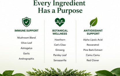 Green Organic Supplements Lyme Disease Immune System Support