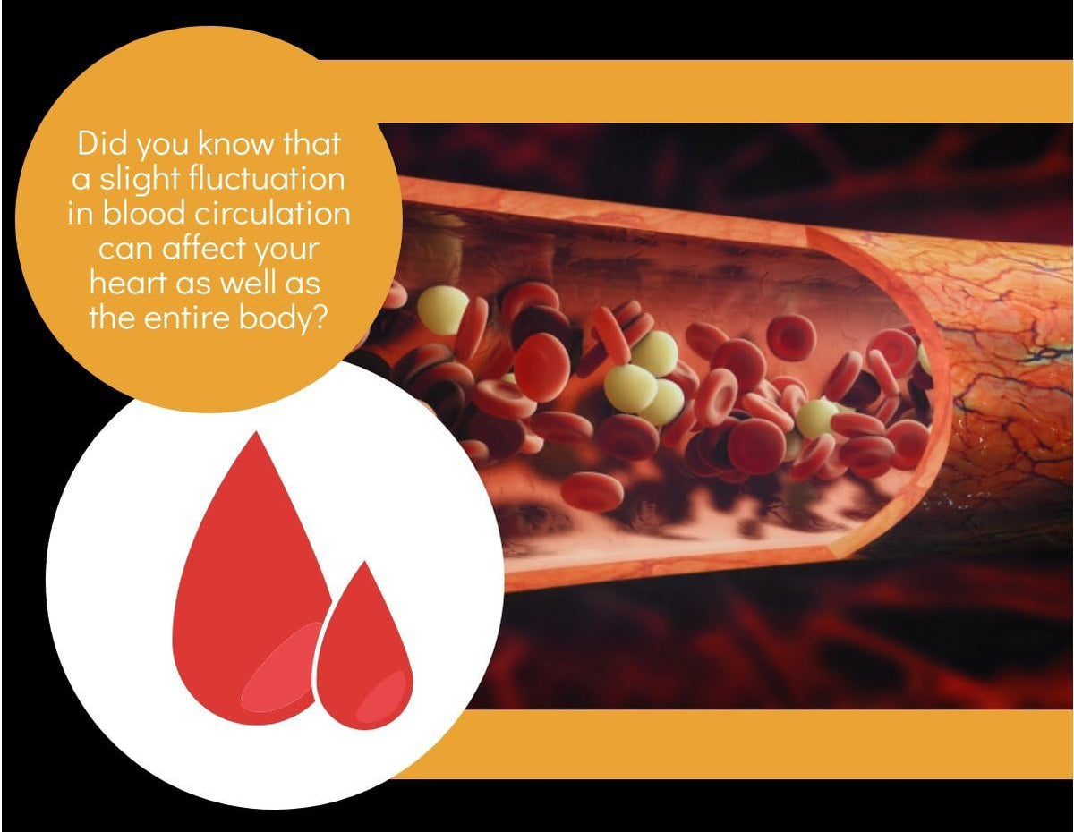 Clinical Daily Circulation Support – Cayenne Pepper ( Capsicum annuum ): Contains capsaicin, which may promote – Image 4