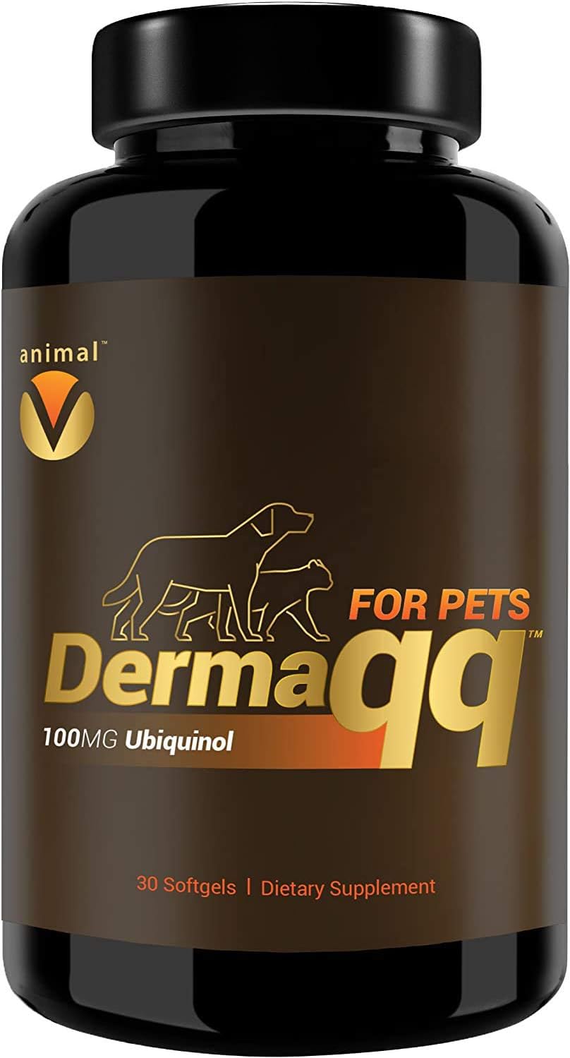 Dermaqq HIGH Absorption Ubiquinol (QH) CoQ10 for Dogs and Cats – Supports Skin Health and Coat - görsel 1