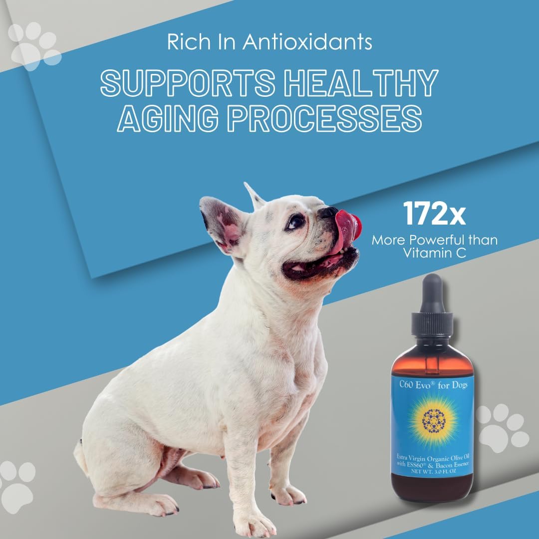 C60 Evo Dog Supplement - Pure ESS60 in Extra Virgin Olive Oil - 90 ml - görsel 3