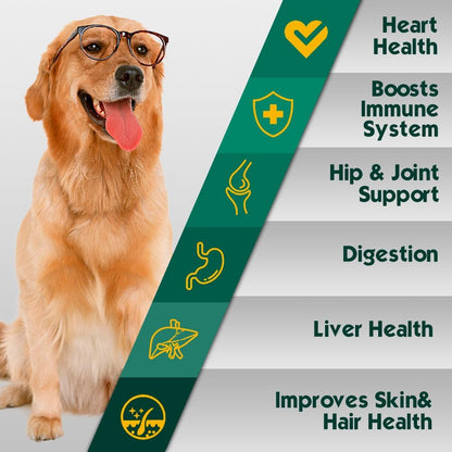 PetriMins 23-in-1 Dog Multivitamin with Glucosamine & Omega-3, 90 Soft Chews (Bacon)