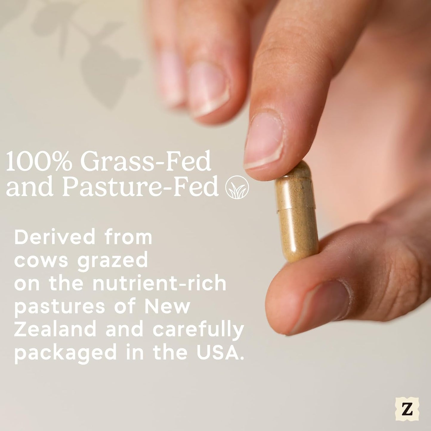 Zen Principle Grass Fed Beef Intestines and Stomach (Tripe) Food Supplement – 2 Pack, 420 Capsules - görsel 6