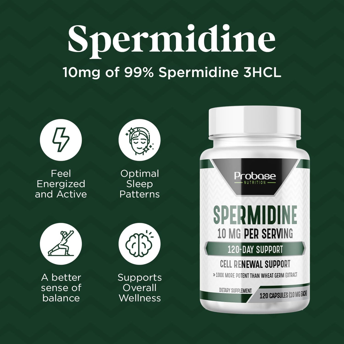 Probase Nutrition Spermidine (10 mg of 99% Spermidine 3HCL – Third-Party Tested) 120 Capsules - görsel 7