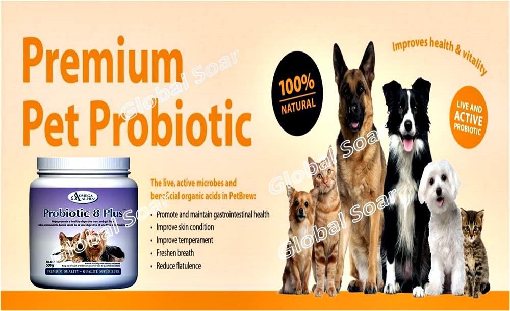 Probiotic 8 Plus 500g - görsel 6