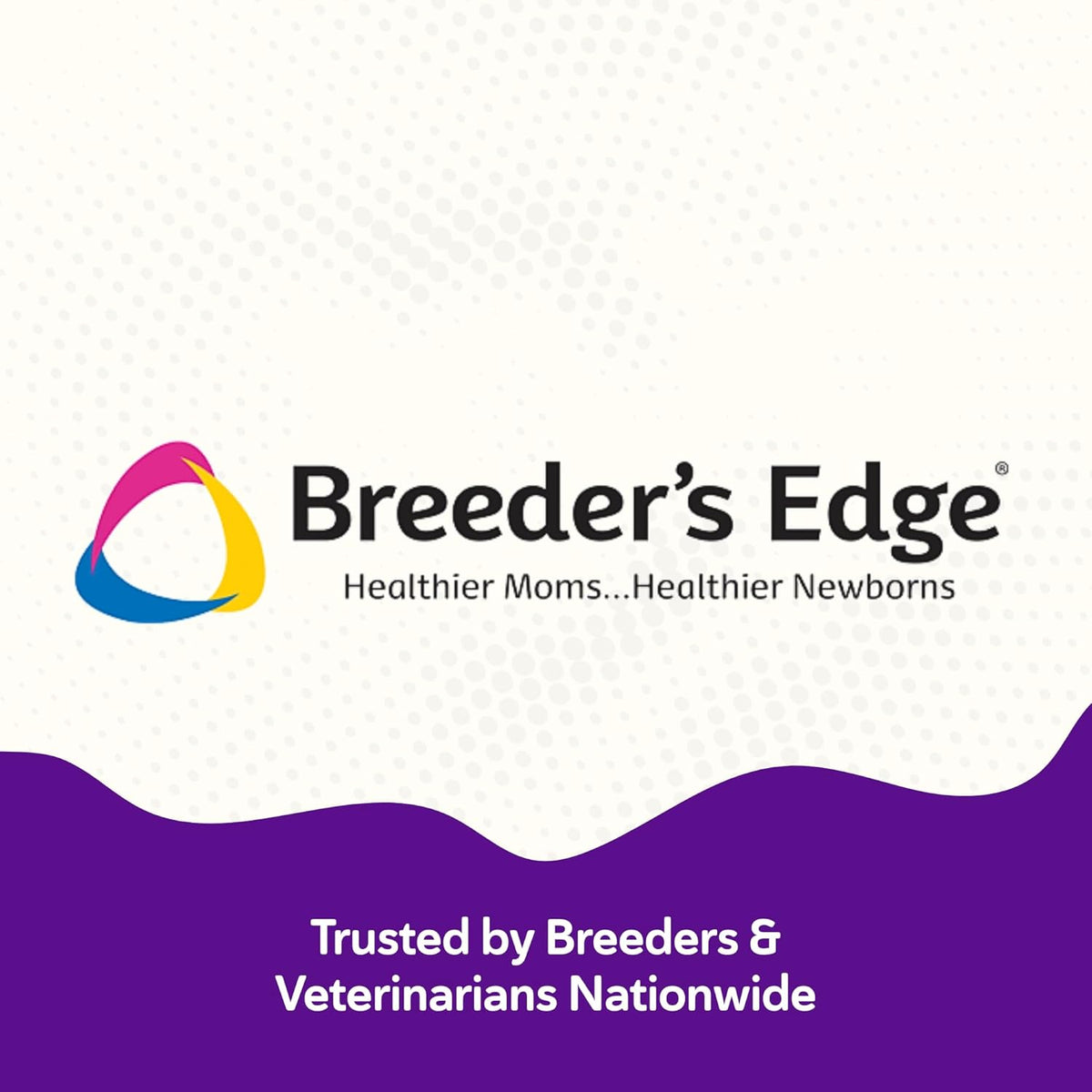 Breeder’s Edge B Strong Powder - B-Complex Supplement for Dogs and Cats, 300g - görsel 6