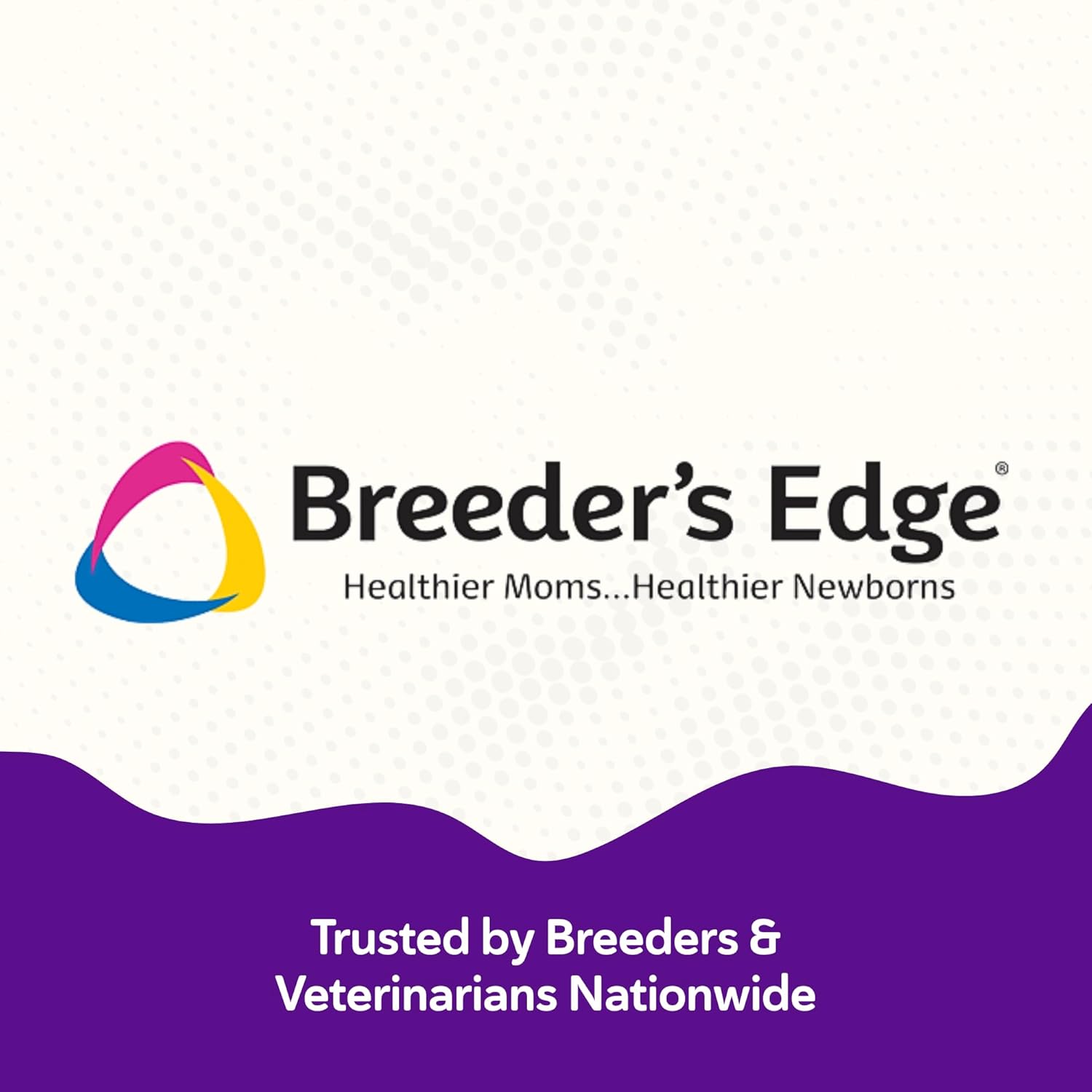 Breeder’s Edge B Strong Powder - B-Complex Supplement for Dogs and Cats, 300g - görsel 6