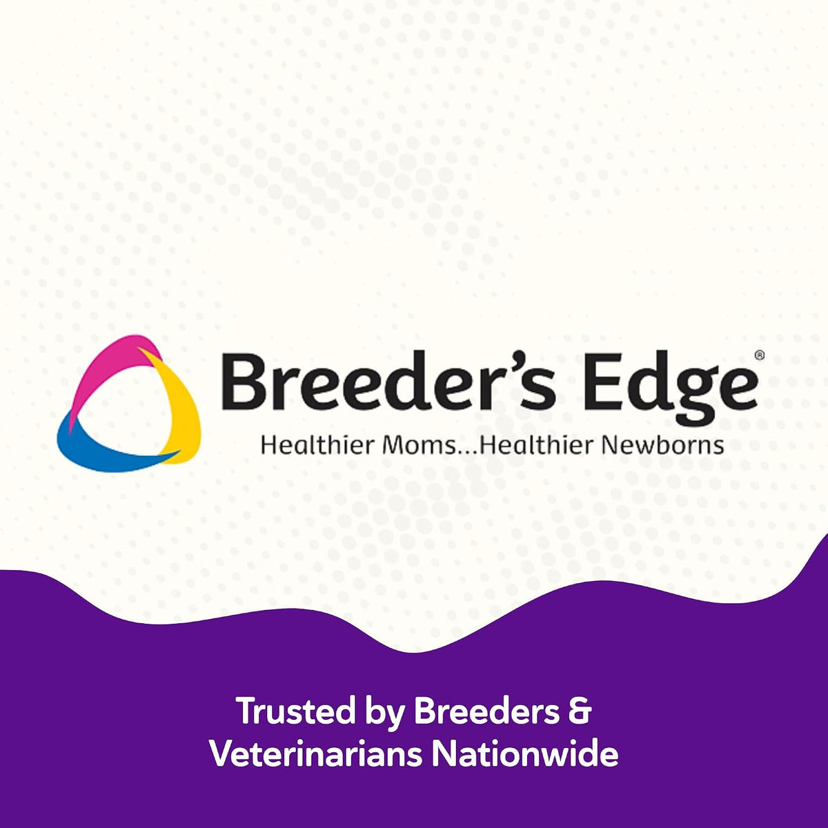 Breeder’s Edge B Strong Powder, B Complex Vitamin Supplement for Dogs and Cats, 1kg - görsel 6