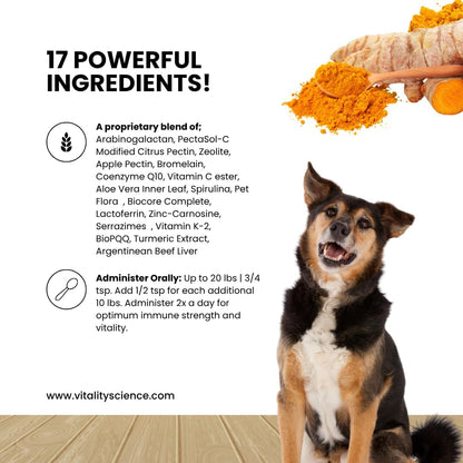 Vitality Science Celloquent Gold for Dogs | Holistic Advanced Immune Support Supplement | 17 Proven Ingredients | Autoimmune, Vomiting and Diarrhoea, Lethargy | 60g