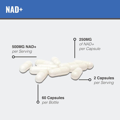 MAAC10 Liposomal NAD+ Supplement 500mg Serving (2x250mg Capsules) Actual Nicotinamide Adenine Dinucleotide