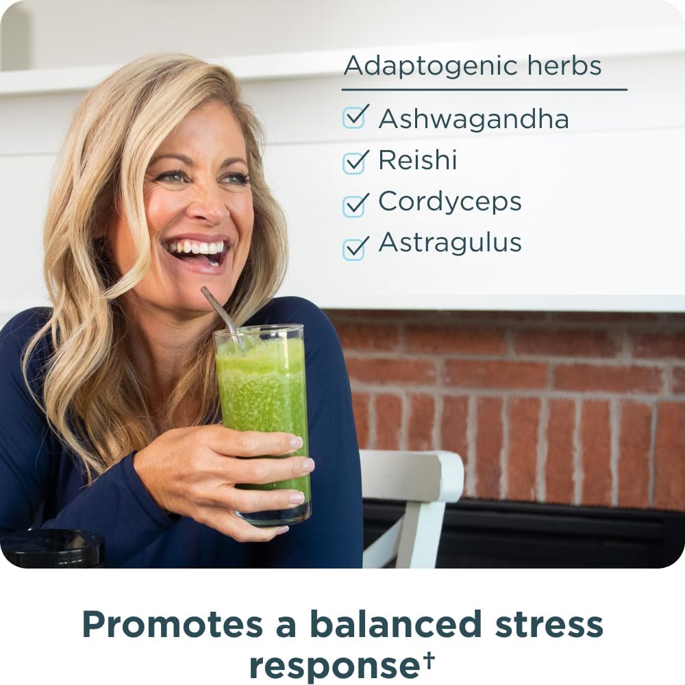 Ancient Nutrition Organic Super Greens Powder - Spirulina, Chlorella, Probiotics, 25 Servings - görsel 5
