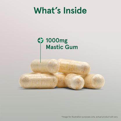 Jarrow Formulae Mastic Gum 1000 mg - 60 Veggie Capsules (12-Pack)