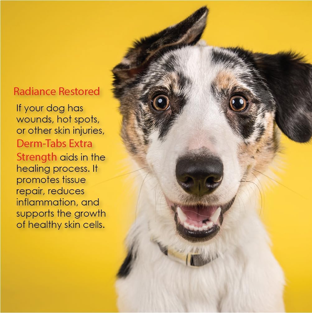 Derm-Tabs Extra Strength Skin & Coat Supplement for Dogs – Omega-3 & 6, Vitamins, Minerals & Antioxidants – 60 Chewable Tablets - görsel 5