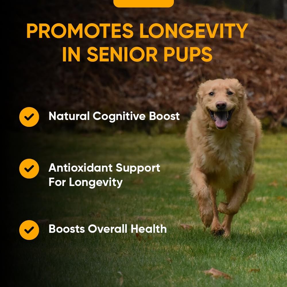 iHeartDogs Senior Super 7 Daily Dog Multivitamin - 7-in-1 Vitamin for Dogs Supports Anti-Ageing with Antioxidants, Probiotics, Lion's Mane, Turkey Tail, & Ashwagandha for Longevity & Cognitive Boost - görsel 5