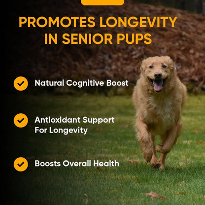 iHeartDogs Senior Super 7 Daily Dog Multivitamin - 7-in-1 Vitamin for Dogs Supports Anti-Ageing with Antioxidants, Probiotics, Lion's Mane, Turkey Tail, & Ashwagandha for Longevity & Cognitive Boost