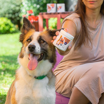 Skin and Coat Boosting Bites for Dogs - Soft Dog Chews, Dog Vitamins and Supplements, Supports Coat and Skin Appearance, 104 ml (Pack of 3)