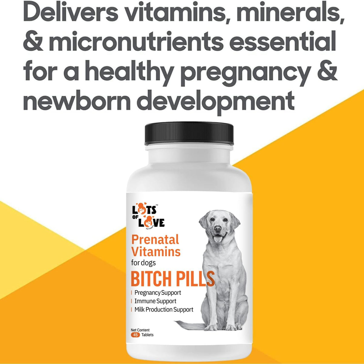 Bitch Pills - Prenatal Dog Vitamins - 45 Tablets - görsel 4
