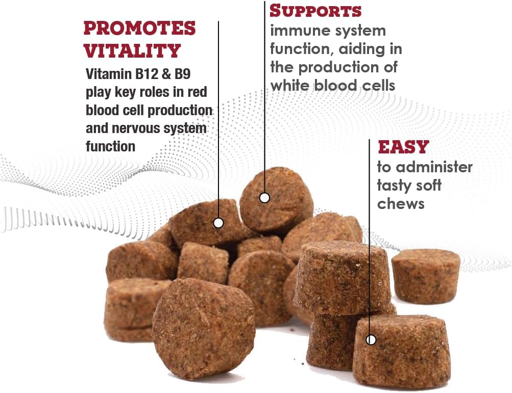 CobalaVet Vitamin B12 & B9 for Small Dogs & Cats – Supports Nervous System, Brain Function, Immune Defences & Cell Growth – Blood Cell Formation – Metabolic Pathway – 60 Soft Chews - görsel 3