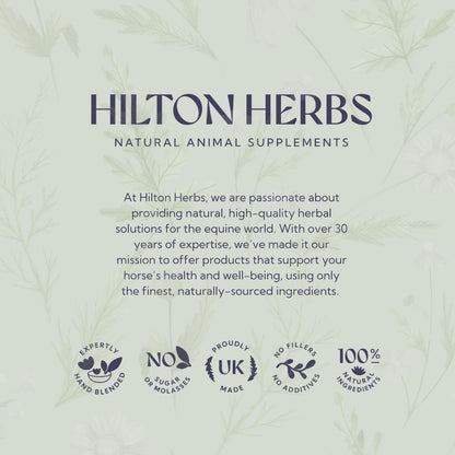 Hilton Herbs Senior Dog Optimum Health Supplement for Older Dogs, 125 g Tub