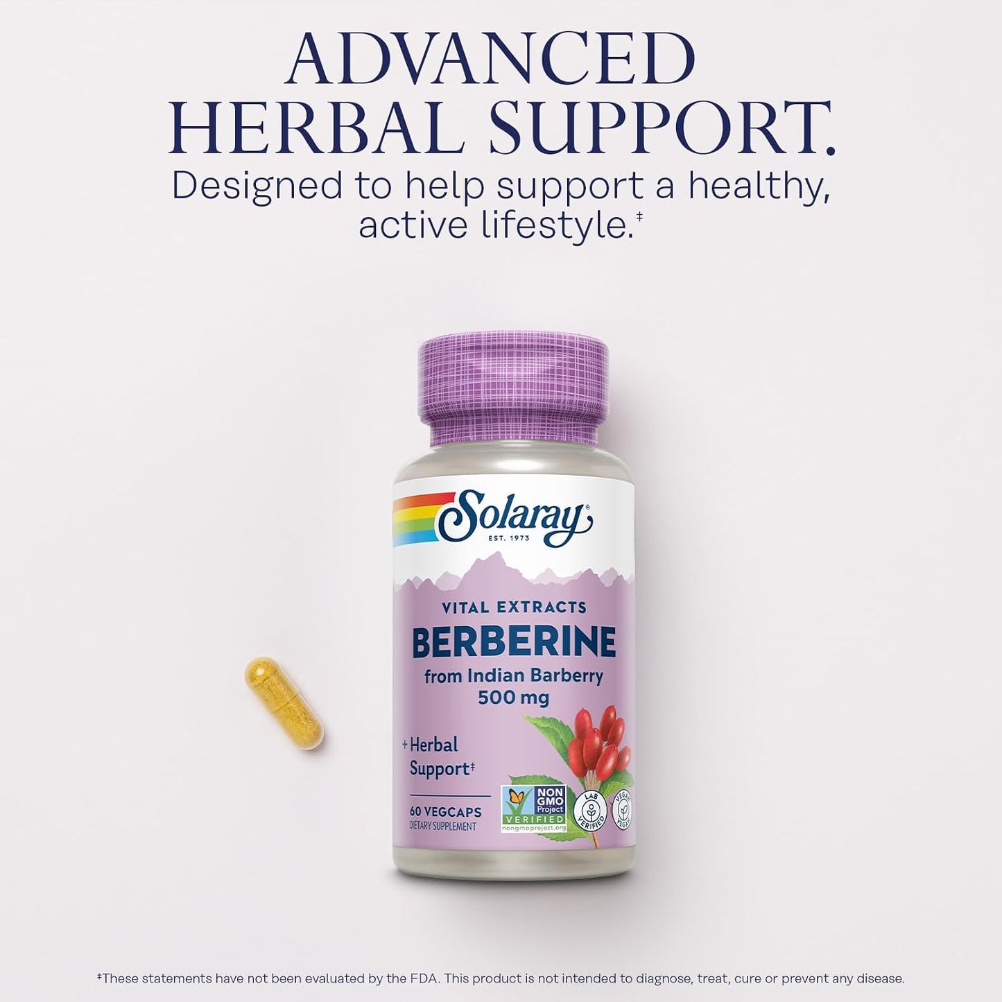 SOLARAY Berberine 500mg - Berberine Food Supplement for Healthy Lifestyle - with Berberine HCl from Indian Barberry - Vegan, Non-GMO - 60 VegCaps - görsel 3