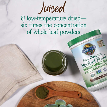 Garden of Life Raw Organic Perfect Food Green Superfood Juiced Greens Powder - Chocolate Flavour, 60 Servings