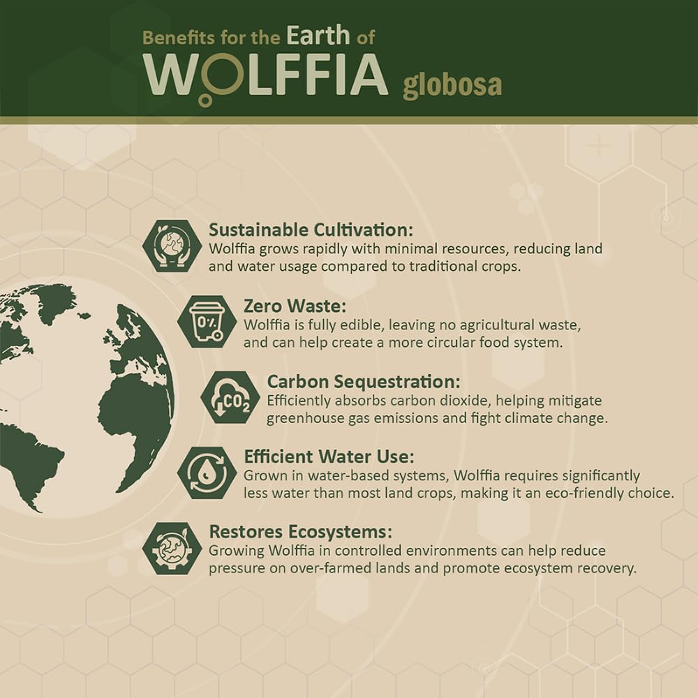 AMA GROW Premium Dried Wolffia globosa Superfood - 60g - görsel 7
