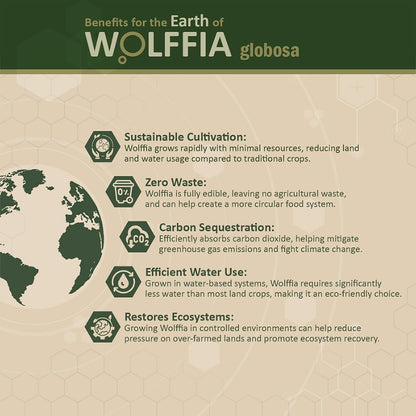 AMA GROW Premium Dried Wolffia globosa Superfood - 60g