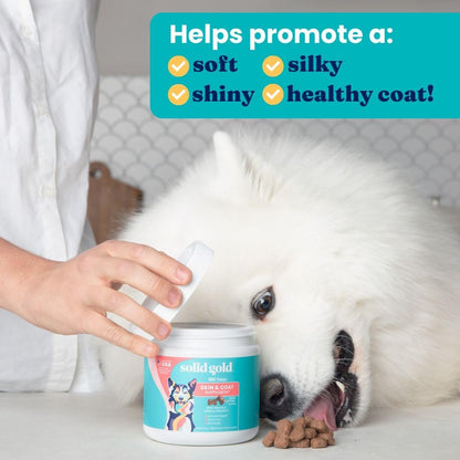 Solid Gold Omega-3 Fish Oil for Dogs Soft Chews - Chicken Flavoured - Skin & Coat Support with Vitamins C, E & Biotin - 120 Chews