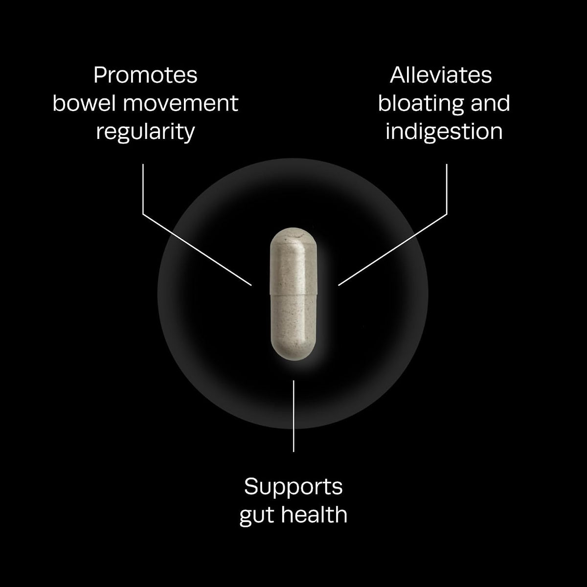 Goodphyte | IB Defence Food Supplement | 60 Capsules | Naturally Occurring Enzymes that Support Digestion - görsel 5