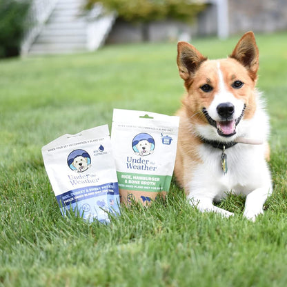 Under the Weather Bland Diet for Dogs - 6 Pack (Multi-flavour, 6 oz each)