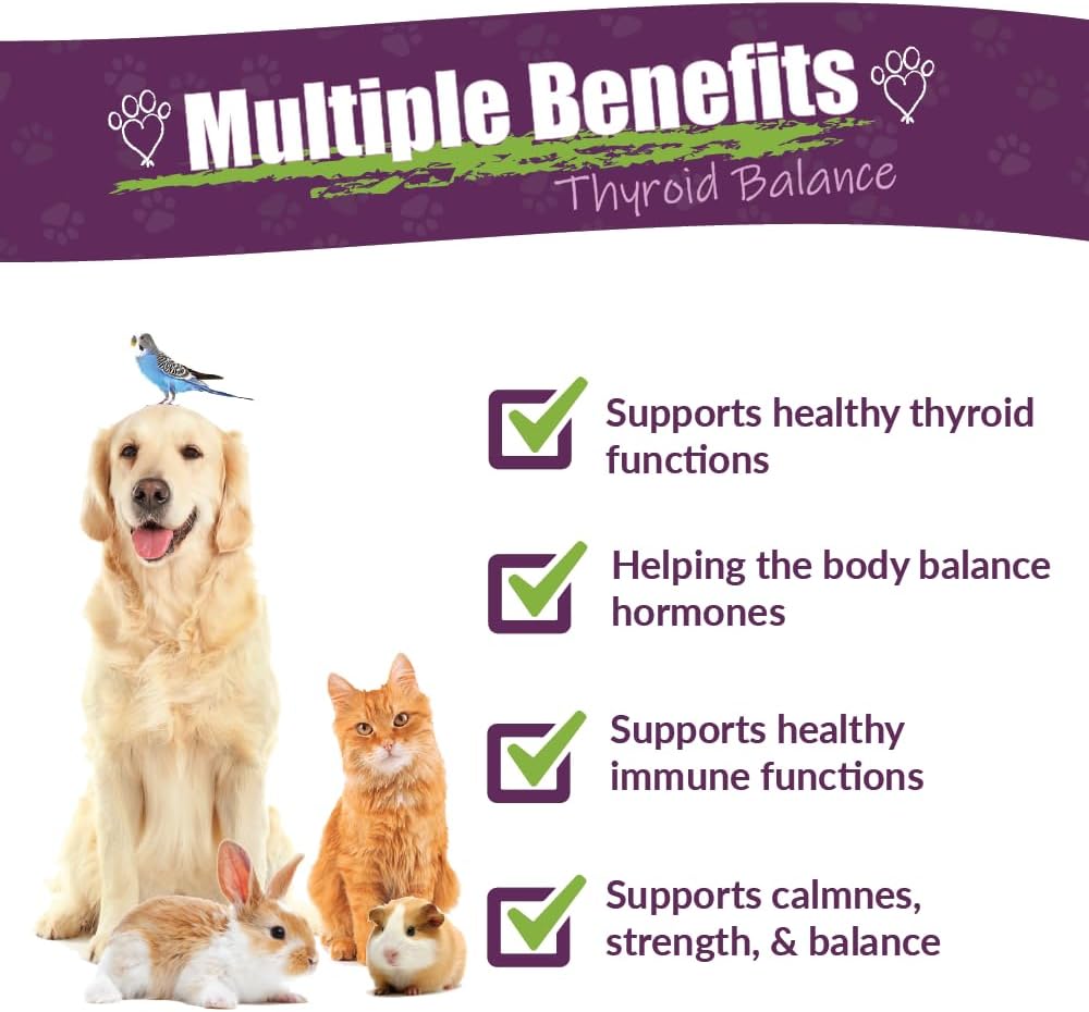 Amber NaturalZ TYD Thyroid Balance Herbal Supplement for Dogs, Cats, Birds, Guinea Pigs and Rabbits - görsel 2
