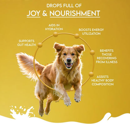 Pawfect Nature's Sip All-Natural Camel Milk Powder for Dogs & Puppies - Easily Digestible - Source of Vitamins, Minerals, Probiotics - Healthy Topper - Hydration Support - 90 Scoops (450g)