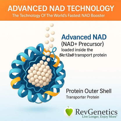 REVGENETICS Advanced NAD Powder - Food Supplement, 147 Servings (25 g), with Vitamin B3