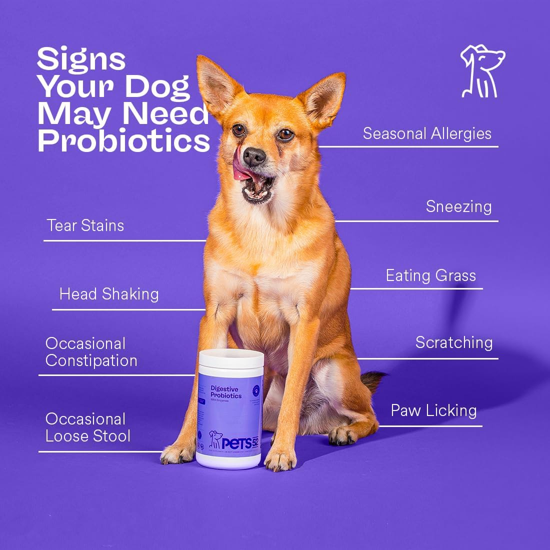 Pets 52 - Digestive Dog Probiotics with Enzymes: Supports Healthy Gut Flora, Boosts Immune Function, Promotes Stomach Comfort, Vet-Strength Formula for Improved Digestion - 30-Day Supply - görsel 3