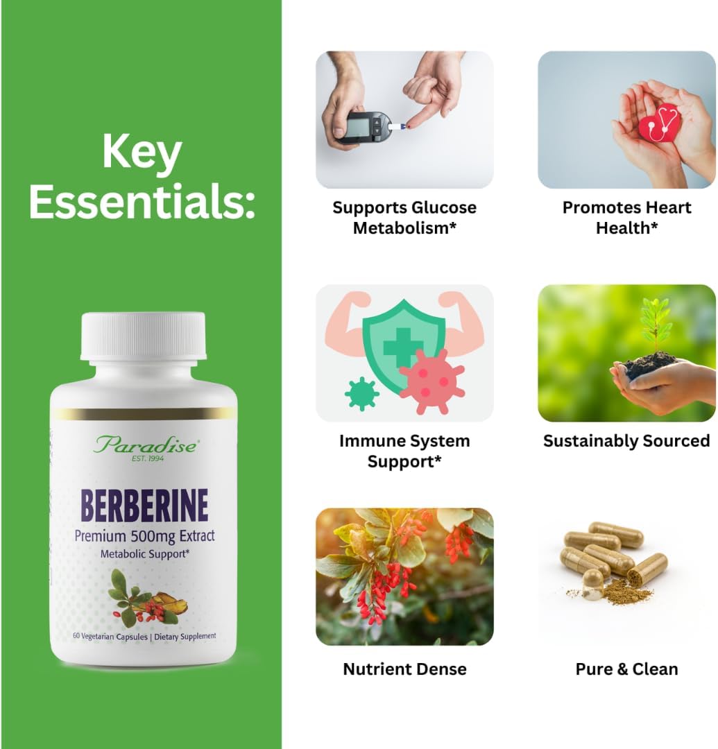 Paradise Herbs Berberine Extract, 500 mg, 60 Vegetarian Capsules - görsel 2